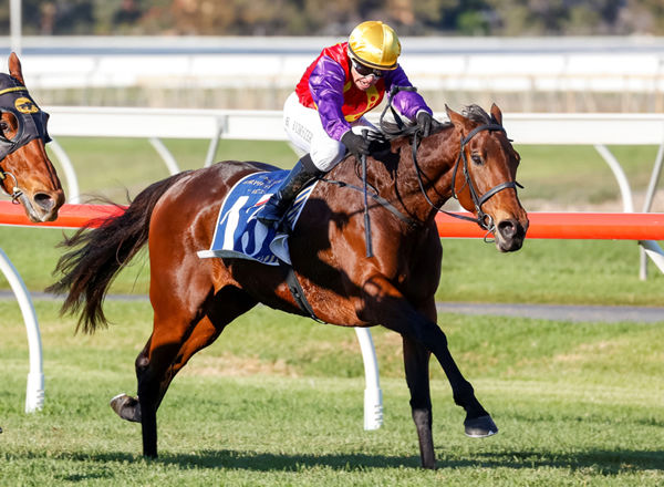 Belle Plaisir dashes along the rail to win the Gr.3 R A Lee Stakes (1600m) at Morphettville Photo Credit: Atkins Photography 