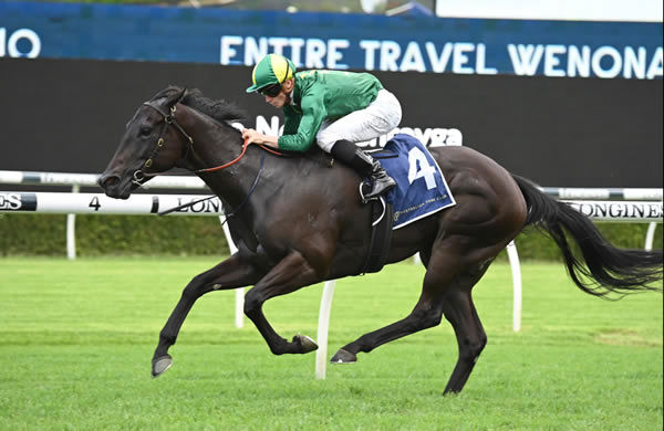 Belluci Babe wins the G3 Wenona Girl - image Steve Hart