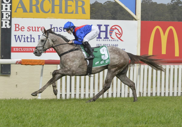 Benaud wins his maiden at Nowra - image Bradley Photography 
