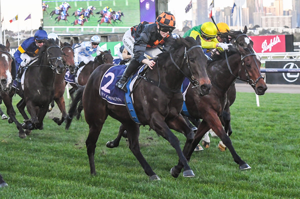 Benedetta made a winning return at Flemington - image Brett Holburt / Racing Photos