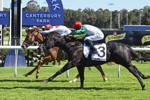 Benevac Holds Off The Late Charge Of Buckeye - Image Bradley Photos
