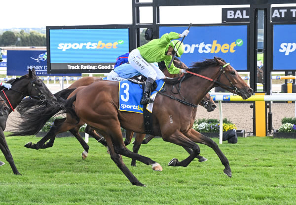 Berkeley Square wins the Ballarat Cup - image Reg Ryan / Racing Photos