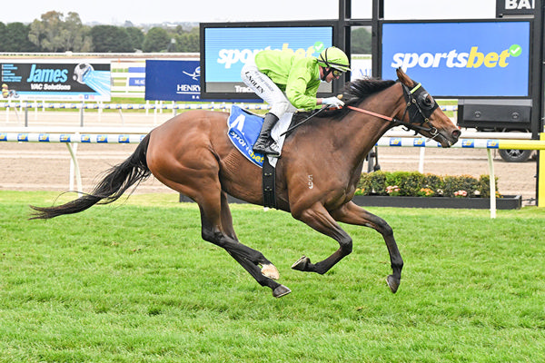 Consecutive Listed Ballarat Cup Wins For Berkeley Square - Image Reg Ryan/Racing Photos