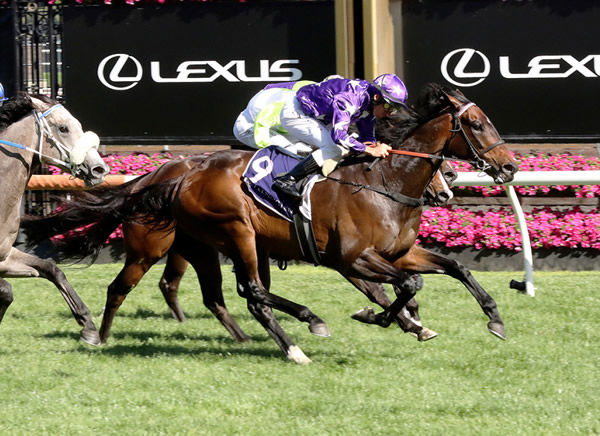 Bermadez wins at Flemington - image Steve Hart.