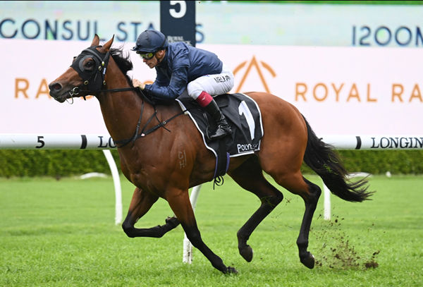 Best of Bordeaux shows his class in the G2 Roman Consul Stakes - image Steve Hart