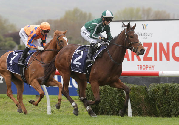 Best Seller returns victorious after the Gr.3 Gold Trail Stakes (1200m) at Hastings on Saturday. Photo: Trish Dunell