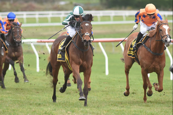Best Seller winning at Taupo on Wednesday. Photo: Peter Rubery (Race Images Palmerston North)
