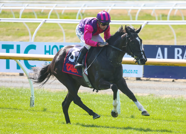 Best Rose winning at Riccarton on Wednesday. Photo: Race Images South
