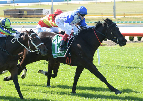 Bewitchingly breaks her maiden at Cranbourne - image Ross Holburt / Racing Photos