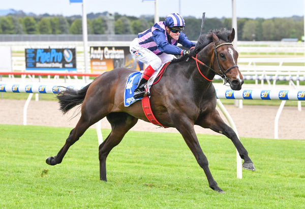 Big Swinger bolts in at Ballarat - image Pat Scala / Racing Photos