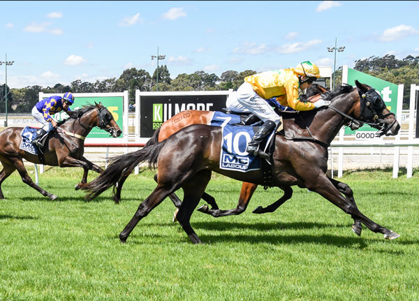 Bing Bang Boom winning at Kilmore on Thursday. Photo: Brett Holburt (Racing Photos)