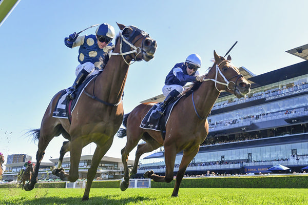 Birdman (Inside) Narrowly Wins The G3 Kingston Town Stakes - Image Bradley Photos