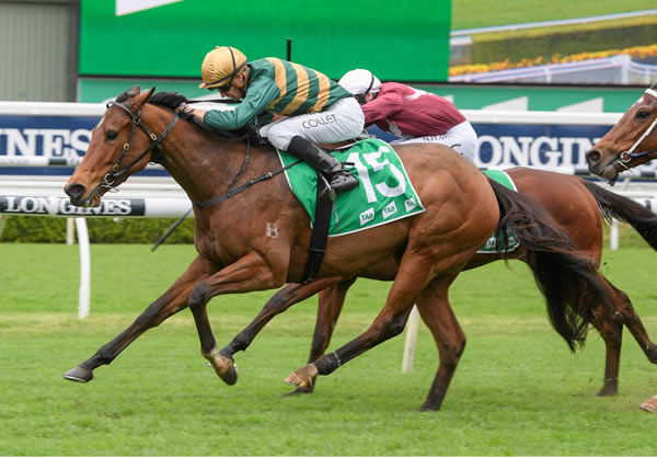 Biscara betas older rivals to win the Highway event at Randwick 
