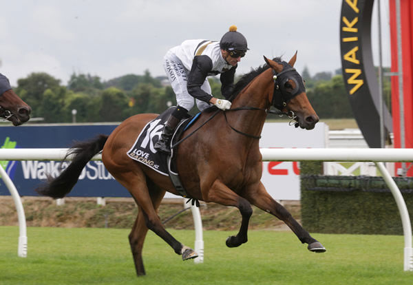 Bitcoin will contest the Gr.2 AJC Avondale Guineas (2100m) at Pukekohe on Saturday. Photo: Trish Dunell