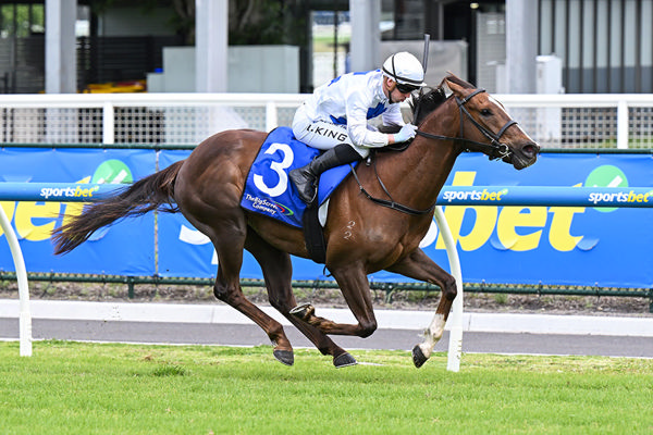 Consecutive Wins For Progressive 3yo Doubtland Gelding Blaze Away - Image Pat Scala/Racing Photos