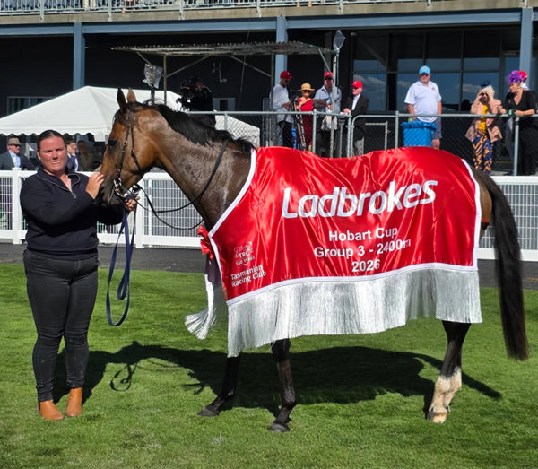 Blonde Star won the G3 Ladbrokes Hobart Cup - image Ladbrokes Twitter 