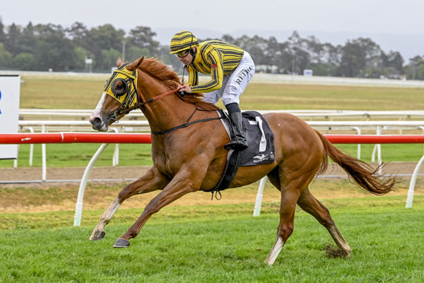 Blue Eyed Brigid bolts in at Hawkesbury - image Bradley Photos