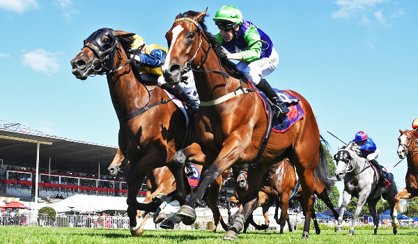 Isabel Barker with Blue Sky At Night after winning last Saturday's Gr.3 Waikato Cup (2400m) at Te Rapa.   Photo: Kenton Wright (Race Images) 