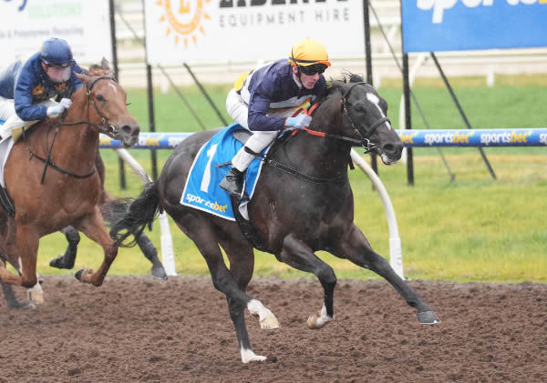 Blue Stratum was a $130,000 Inglis Premier purchase for McEvoy Mitchell Racing / First Light Racing / Belmont Bloodstock Agency - image Scott Barbour / Racing Photos 