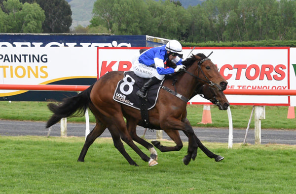 Listed NZB Airfreight Stakes (1400m) winner Bobby Mcgee.  Photo: Tayler Strong (Race Images)