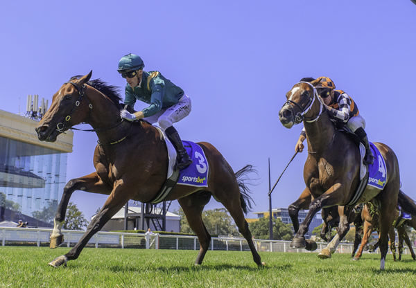 Bodyguard too good for Stay Focused in the G3 Blue Diamond Prelude - image Grant Courtney 