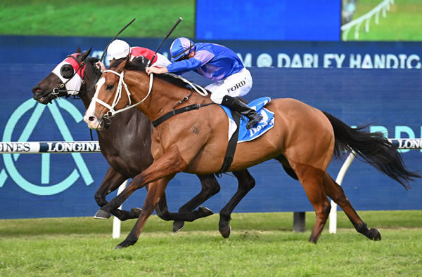 Bold Mac keeps the winners coming for the Waller stable at Rosehill - image Steve Hart