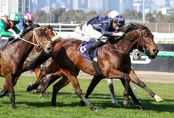 Bold Soul, ridden by Michael Dee, scores his seventh career win in the VRC Membership Renewals Handicap at Flemington. Photo: Bruno Cannatelli