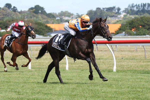 Bolli Belle wins for Te Akau - Race Images