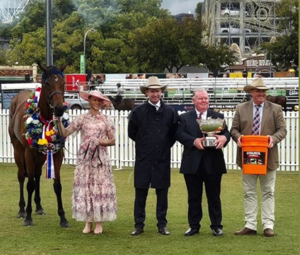 Bon's a Pearla crowned the Supreme Champion Led Thoroughbred at the Ekka.