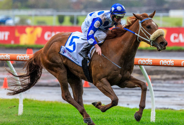 Boogie Dancer revels in the conditions (image Grant Courtney)