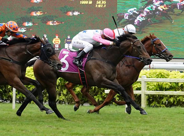 Boomba, in the pink cap, won the Golden Horseshoe - image Singapore Turf Club.