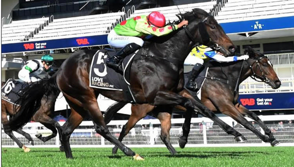 Boombox will contest Saturday's ITM/GIB 2YO Championship (1200m) at Ruakaka.  Photo: Kenton Wright (Race Images)
