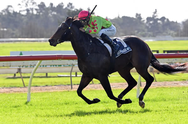 Boombox winning the ITM/GIB 2YO Championship Final (1200m) at Ruakaka on Saturday. Photo: Therese Davis