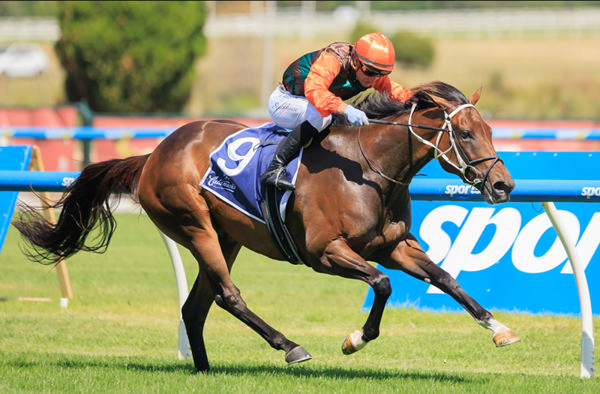 Bossy Benita claims the G3 Mannerism Stakes - image Grant Courtney