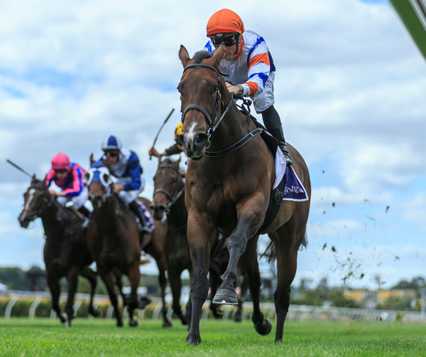 Bossy Nic wins the G3 Thoroughbred Breeders with ease - image Grant  Courtney 