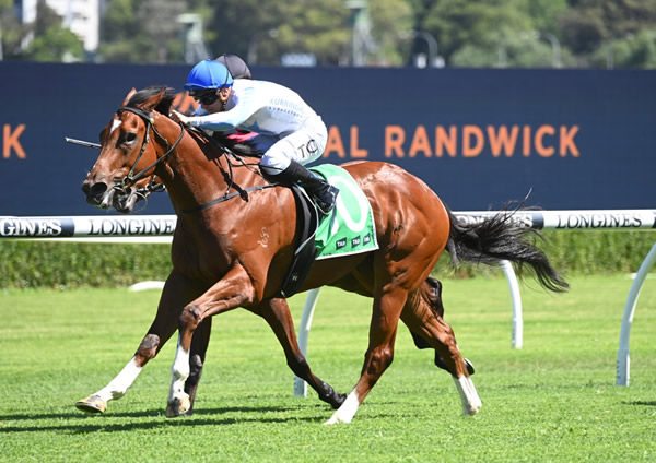 First up from a spell, Boston Rocks wins at Randwick - image Steve Hart 