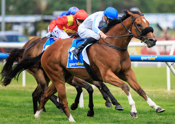 Boston Rocks wins the Listed Village Stakes - image Grant Courtney