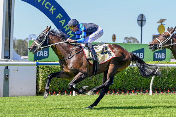 Botanist breaks the ice at Warwick Farm - image Bradley Photos
