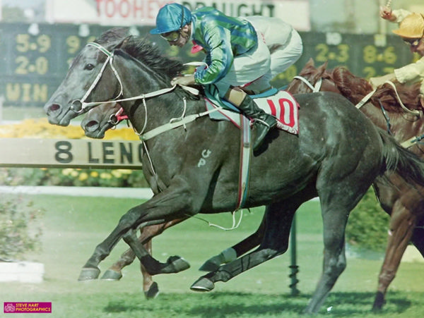 Bounding Away won the Blue Diamond and Golden Slipper - image Steve Hart