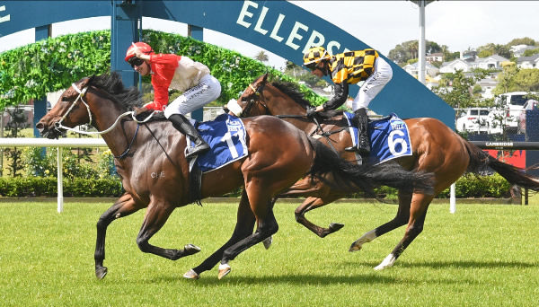 Bourbon Empress winning the Gr.2 Rich Hill Mile (1600m).   Photo: Kenton Wright (Race Images)