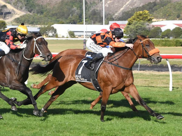 Bradman strides clear of Our Echo and Provence to score in the Listed Bramco Granite & Marble Flying Handicap (1400m) at Trentham on Saturday.  Photo: Race Images PN