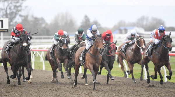 Branciforti (centre) winning the $100,000 Martin Collins Polytrack 1400m Innovation Race at Awapuni Synthetic on Friday.  Photo: Peter Rubery (Race Images Palmerston North)