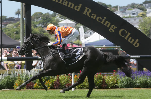 Brando eases clear to win the Listed Shaw’s Wire Ropes Uncle Remus Stakes (1400m) at Ellerslie Photo: Trish Dunell