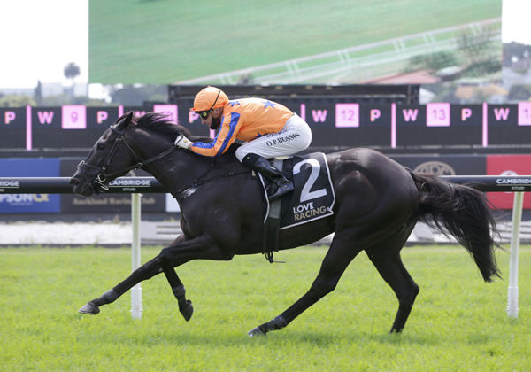 Brando and Opie Bosson dash clear at Ellerslie Photo Credit: Trish Dunell