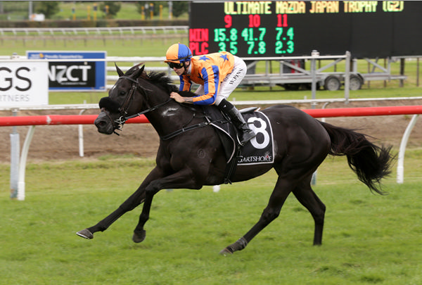 Brando cruises to victory in the Gr.2 Ultimate Mazda Japan Trophy (1600m) at Tauranga on Saturday  Photo: Trish Dunell