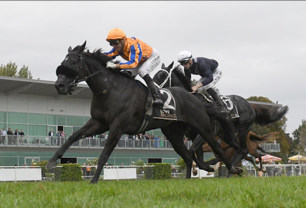 Brando and Colorado Star (white cap) fight out the finish to the Gr.2 City Of Palmerston North Awapuni Gold Cup (2000m) Photo: Race Images – Peter Rubery