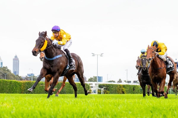 Brave Spirit wins his first stakes race - image Perth Racing Twitter Western Racepix  