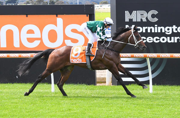 Breaking Ground wins with authority at Mornington - image Pat Scala / Racing Photos
