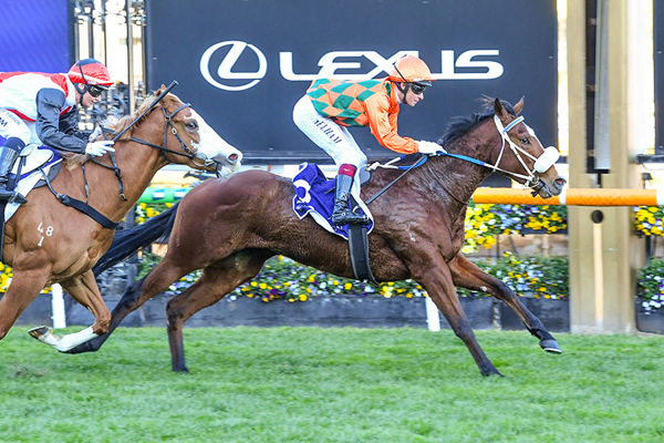 First Stakes Success For Snitzel Filly Bridal Watz - Image Racing Photos