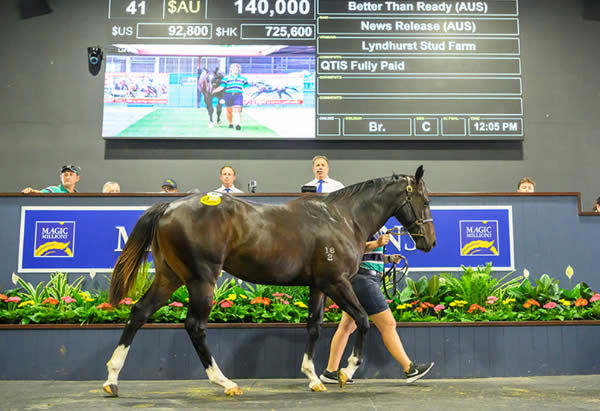 $140,000 Better Than Ready colt from News Release